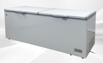 77 Inch Horizontal Double Doors Freezer 24 Cu Ft Rental for rent in Sunset, TX