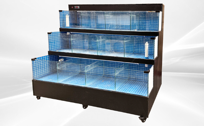 80 inches Sea Water Seafood Lobster Display Case 220v Rental for rent in Ames, TX